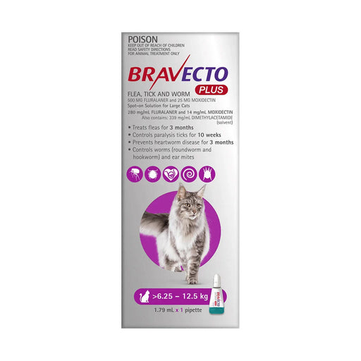 Bravecto Plus For Cats Large 6.25 - 12.5kg 500mg