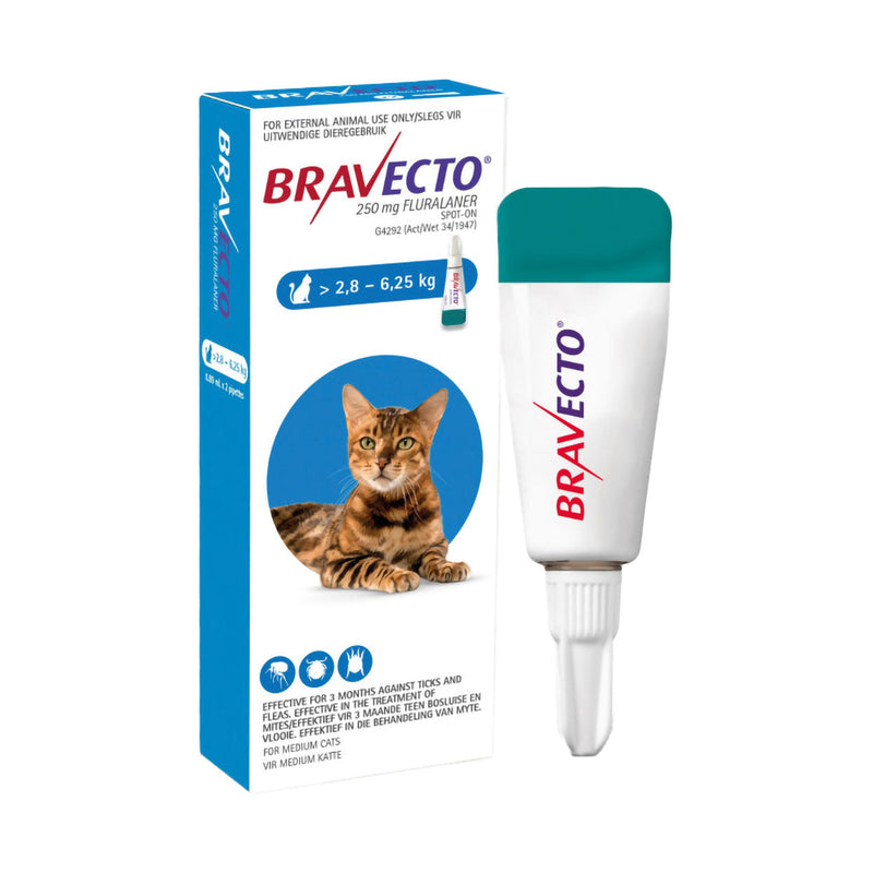 Bravecto Spot On Cat Medium 2.8 - 6.25kg 250mg