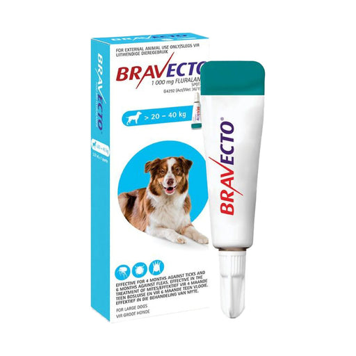 Bravecto Spot On Dog Large 20-40kg 1000mg