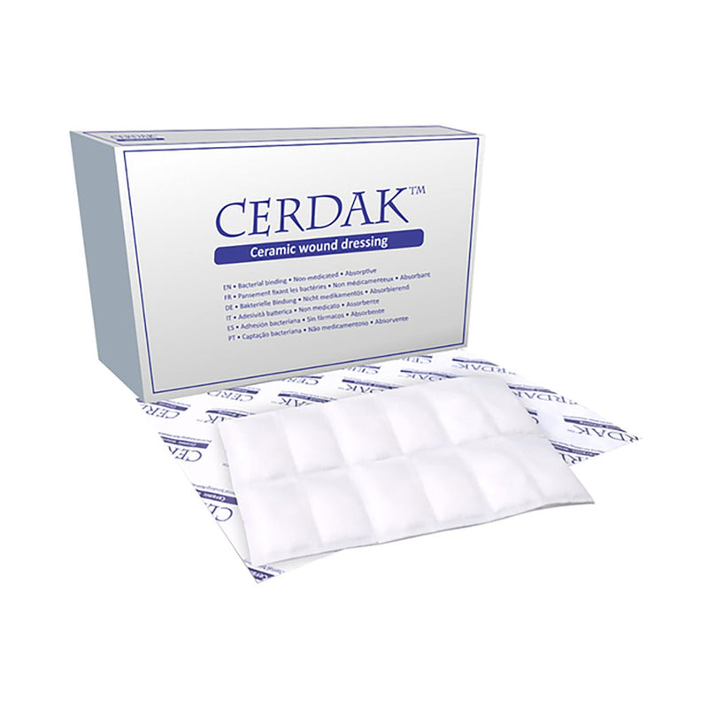 Cerdak Basic Wound Dressing 10 x 15cm 10 Pack