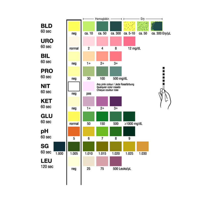 DNX Test-It Urinalysis 10 Parameter 100 Test Strips