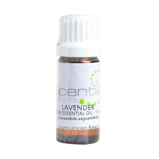 Escentia Essential Oil Lavender Organic 11ml