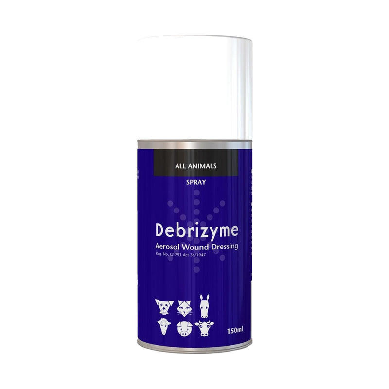 Kyron Debrizyme Aerosol 150ml