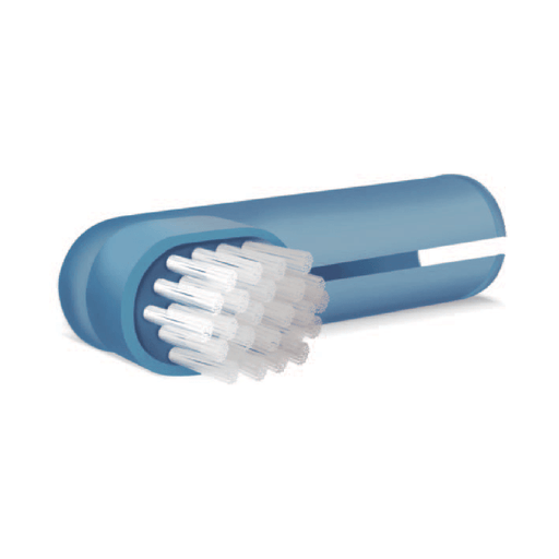 Kyron Pet Dent Finger Brush - Blue