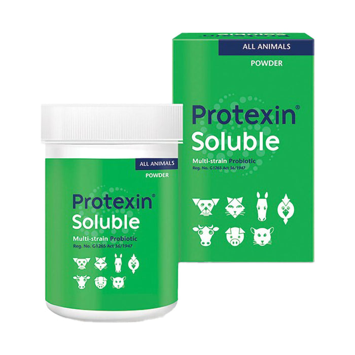 Kyron Protexin Soluble Powder 60g