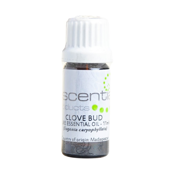 Escentia Clove Bud Essential Oil 11ml